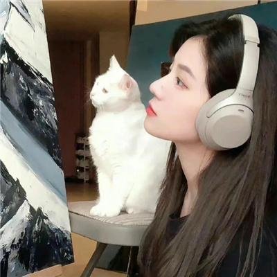 老虎队